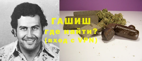 гидра Абаза