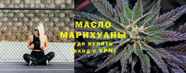 гидра Абаза