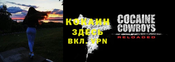 соль ск Алзамай