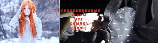 соль ск Алзамай