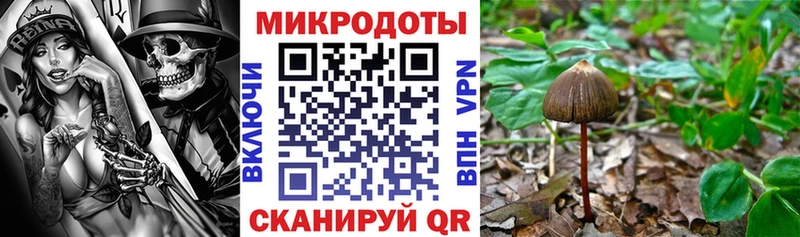 Галлюциногенные грибы Psilocybe  Елизаветинская 
